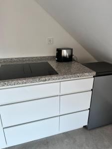 Haus Villa-Moderne Galeriewohnung in Wallersdorf-Haidlfing