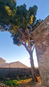 Appartements Le logis des vendangeurs : photos des chambres