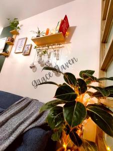 Chill Vibes in Ridgewood near NAIA Terminal 3, BGC and Venice with Lap pool, WIFI and Netflix