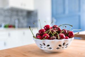 Folk Art Studio Stara Pompka