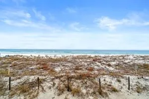 Surf Dweller 210 - Surf Buggy - Roselle