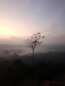 Chill chill homestay