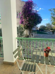 Hostl - Beds & Rooms - The Hostel Inn Paphos, Old Town
