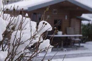 Direkt am See - Bodenseeresidenz in Bodman
