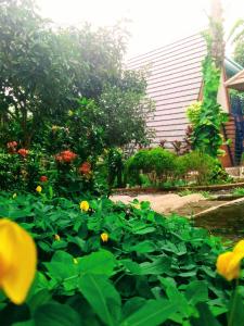 villa besty and farm