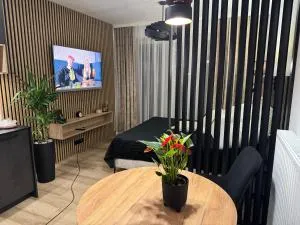 Apartament Zamojskie Echo - 扎莫希奇