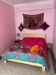 Gîte Paradies Quad - Tamraght Oufella