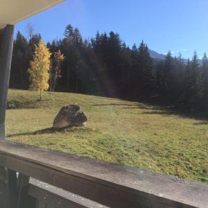 Résidence Les Glovettes - Coquet deux pièces pied des pistes MAE-3624