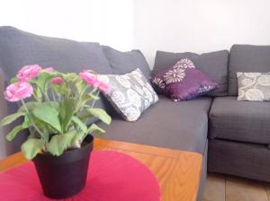 Sweet Home Clube Praia da Rocha 120