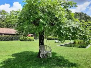 B&B De Levensboom - Westerlo