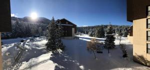 Appartements Residence Herbouilly - Nouveaute: Joli 3pieces aux pieds des pistes MAE-3934 : photos des chambres