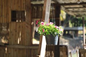 Home Style Resort