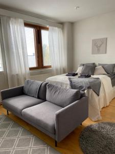 Kodikas huoneisto Rovaniemen keskustassa