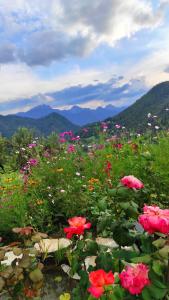 Chalets Chalet Cosy - 8 pers, Outdoors & Mountain View : photos des chambres