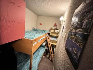 Appartements Residence Carette - STUDIO 32 M² CLOS DE LA BALME MAE-4841 : photos des chambres