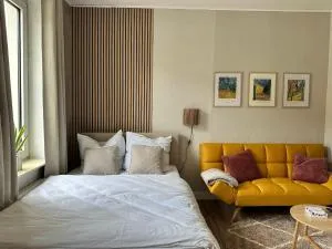 Gemütliche Wohnung im Zentrum - 新明斯特