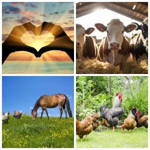 Appartement a la Campagne - Radinghem-en-Weppes