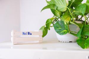 Casa Vacanze Nel Blu