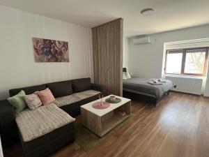 Vlasic Apartmani HANA