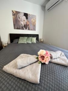Vlasic Apartmani HANA