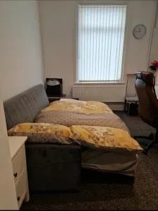 Sofabed with well-padded cushion - 登顿