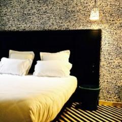 Hotels Hotel des Carmes : photos des chambres