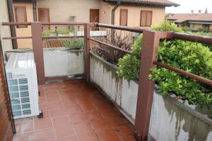 Apartment in Lazise - Gardasee 51778