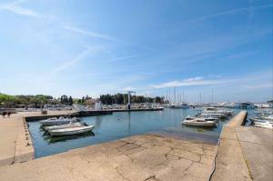 Apartment in Porec - Istrien 53416