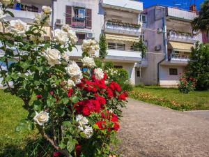 Apartment in Porec - Istrien 52017
