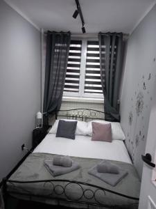 Apartament na Jasnym