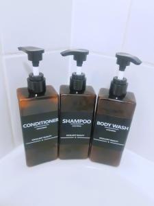 Descubre Santiago desde Nuestro Encantador Dpto