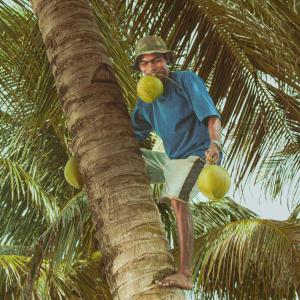 Patricks on the Beach Resort