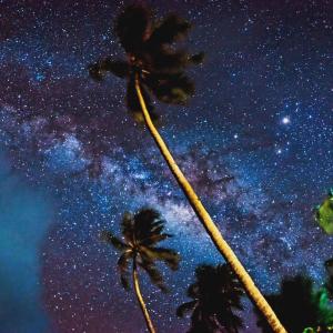 Patricks on the Beach Resort