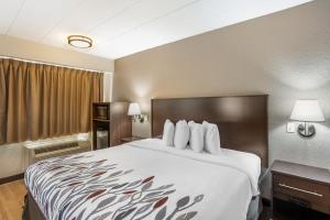 Business King Room Disability Access Smoke Free room in Red Roof Inn Danville PA