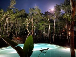 Secluded Jungle Sanctuary for Large Groups
