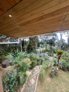 Cabaña Guarumo de la Sierra - Minca