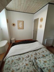 Appartements L'elephant Blanc de ConcarnOLoc : photos des chambres