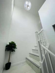 Gorgeous Abode 3 Bedrooms Hide-out in Mesa