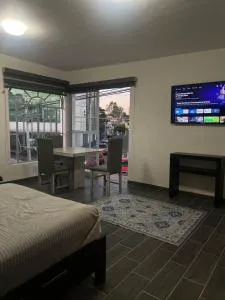 Departamento Zona Hospital - 萨莫拉-德伊达尔戈