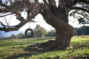 Beolite Retreat - 25 Minutes to Mt Buller Gates