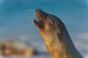 Suite Arena, a pocos metros de la playa