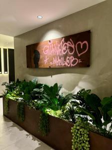 Hotel Aló Degollado