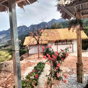 Mường sang farmstay - Ubytování bez kategorie ve městě Moc Chau