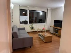 Departamento Osorno - 奥索尔诺