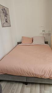 Maisons d'hotes Ruby room - 20 min to Paris : photos des chambres