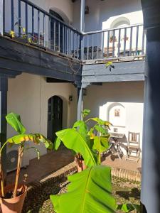 Corral Montelucía Siglo XVI