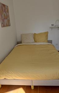 Maisons d'hotes Amber room - 20 min to Paris : photos des chambres