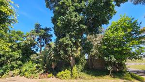 Self catering unit near Airport Beach St Georges Park