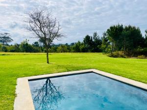 Ichibi Luxury Villa Plett