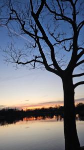 Maisons d'hotes Jade room - 20 min to Paris : photos des chambres